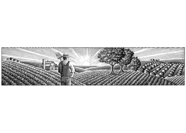 farm scene art  001